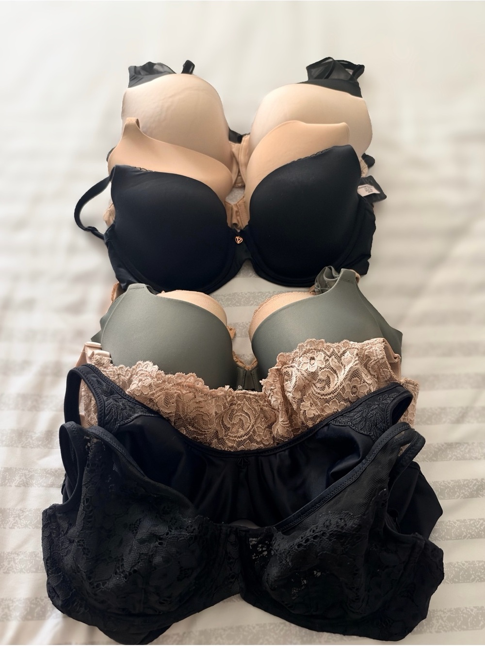 Lot of Women's 36D Bra Bundle